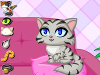 Гра Для дівчаток догляд за кошенятами