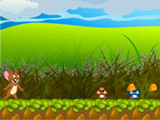 Гра Том і Джеррі зниклий сир