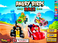 Гра Гонки Енгрі бердз