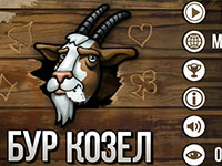 Карткова гра бура