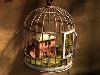 Гра Вибратися з будинку